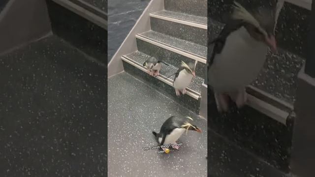 VID_20240809_173814_234.mp4
