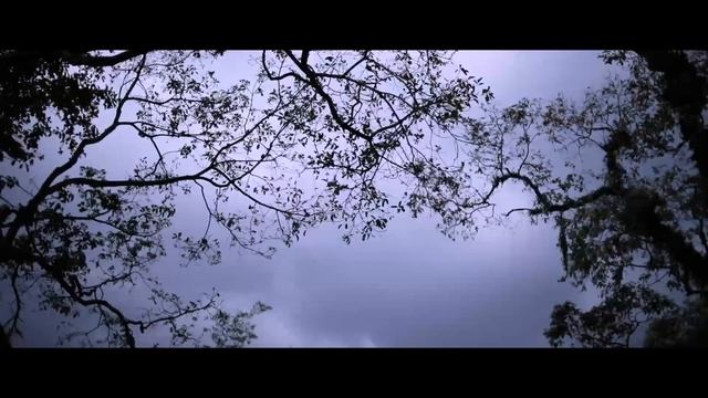 Pozovi menya s soboy (Позови меня с собой)Brave Johnson Jisha-Russian Song- Алла Борисовна Пугачёва