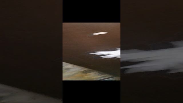 VID_20241112_201631.mp4 #8