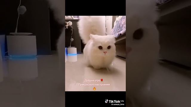 1000014836.mp4