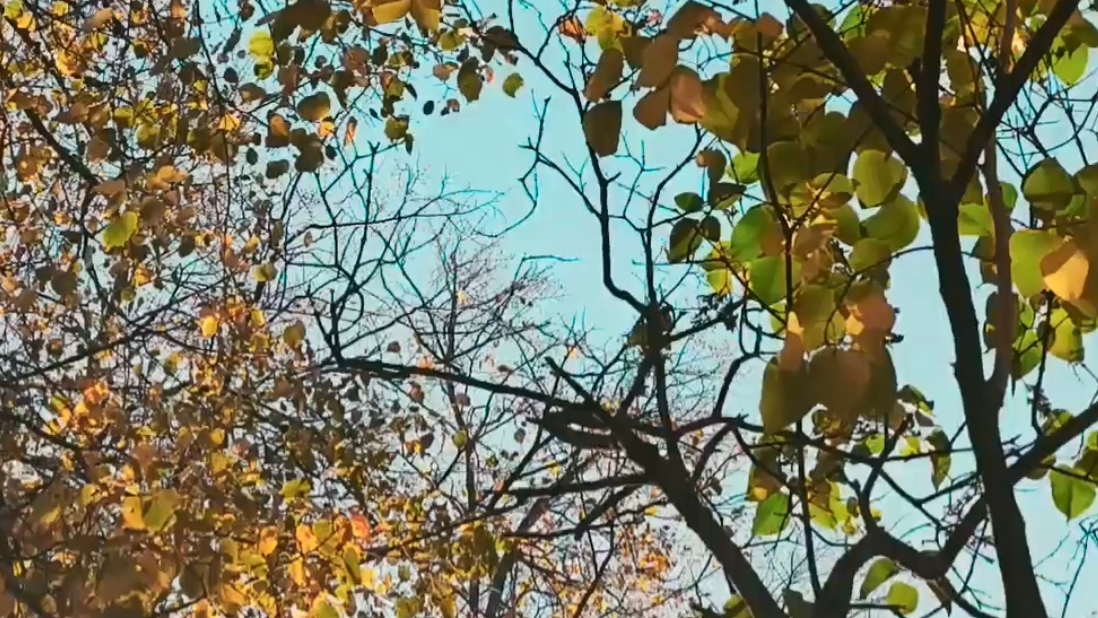 Очей очарованье - Осень 🍂🍁