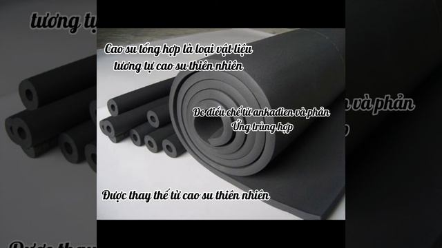 Cao su - hoá học 12