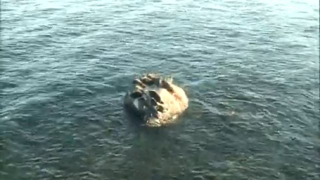 2011 год. Сентябрь №3