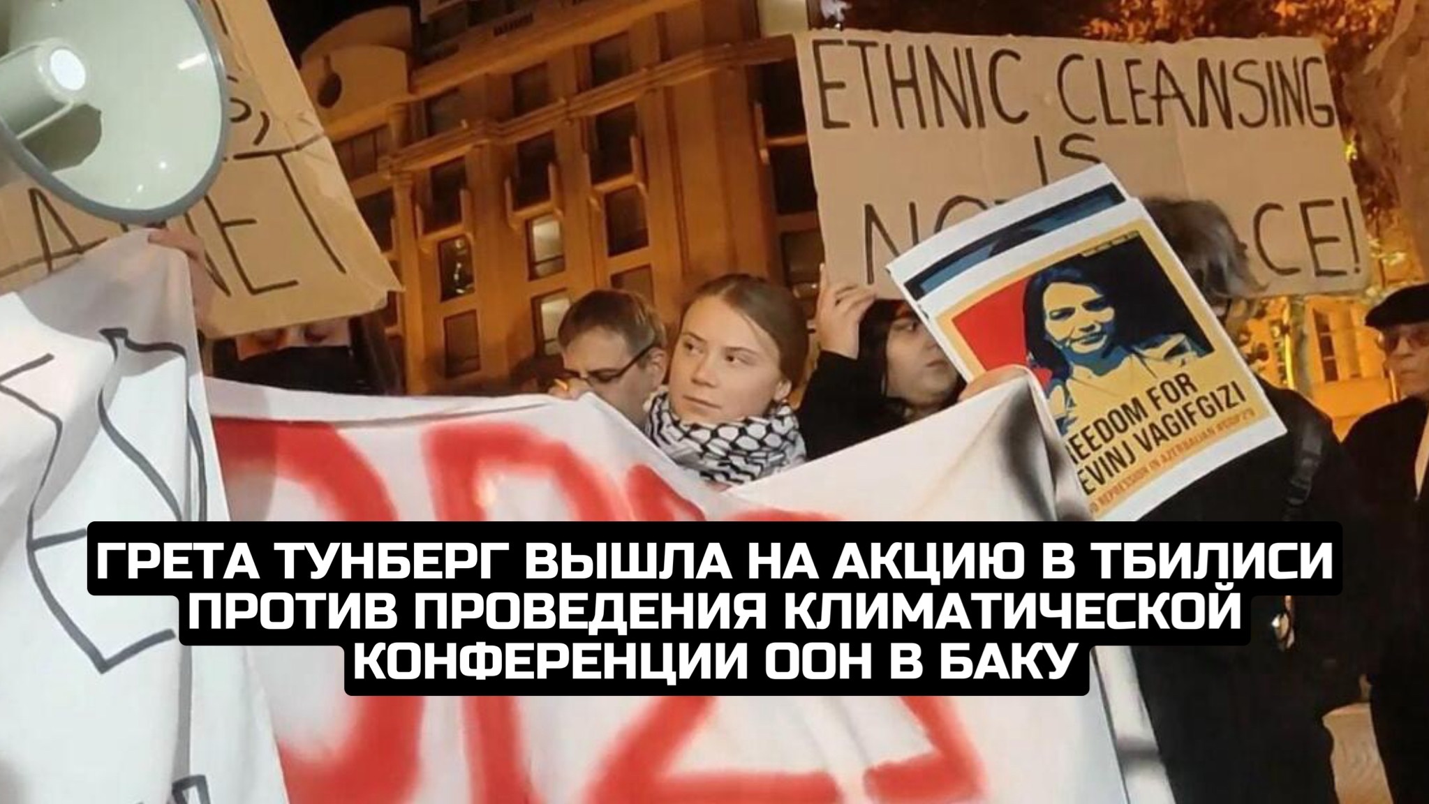Грета Тунберг вышла на акцию в Тбилиси против проведения климатической конференции ООН в Баку