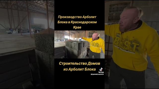 строительство домов из арболит блока