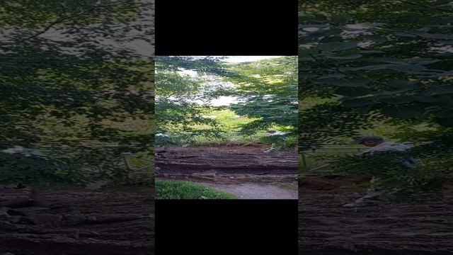 1000010135.mp4
