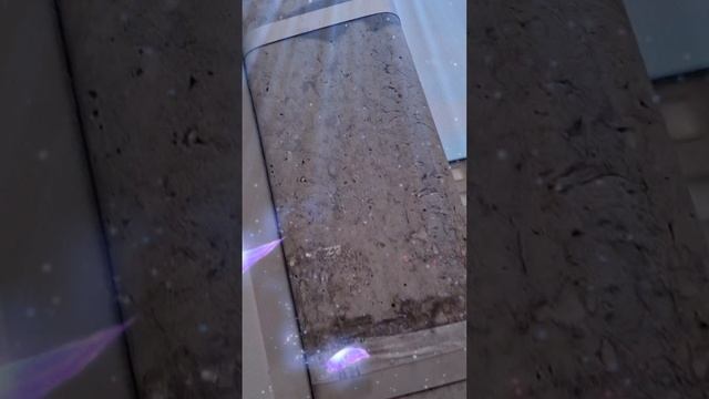 1000007188.mp4 (Собака смотрит на вариант электроснабжения дома А-фрейм)