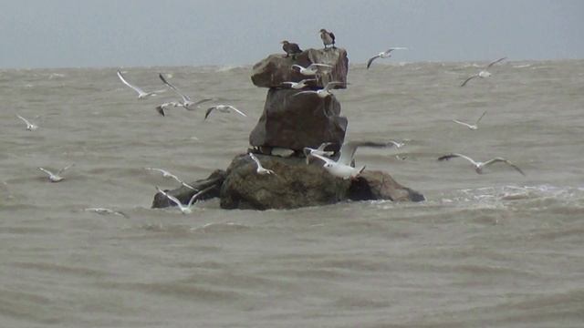 Азовское море. Великолепие и сила шторма. 1
