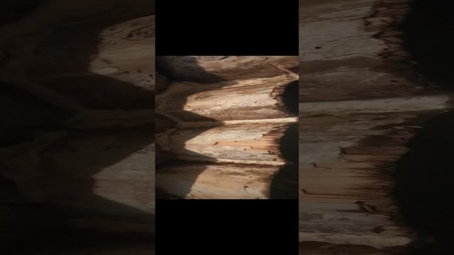 ремонтирую двухсот летний дом
