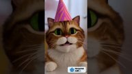 Котик поздравляет тебя с днём рождения