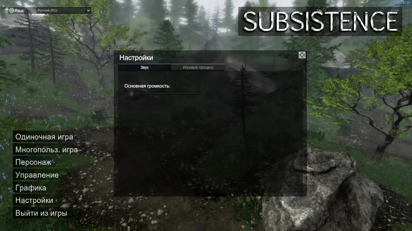 Subsistens