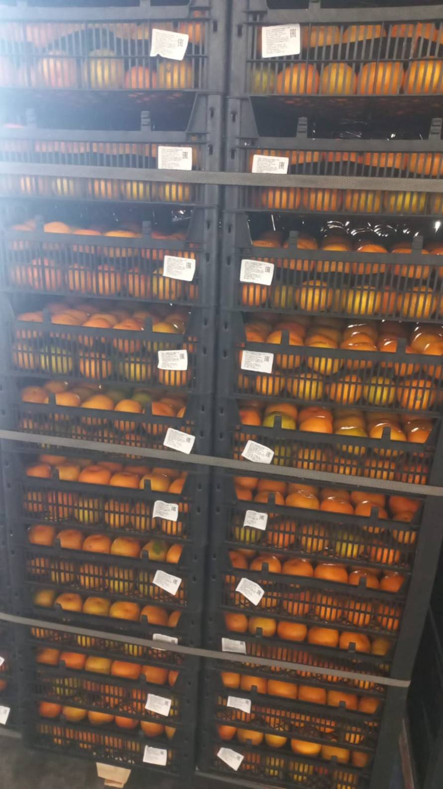 МАНДАРИНЫ ИЗ ИРАНА ОПТОМ В КРАСНОДАРЕ