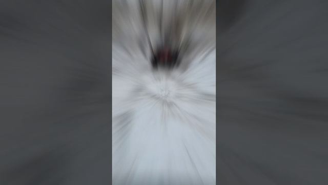 Первый снег с КВАДРО