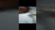 VID_20241112_185400.mp4