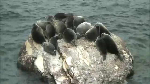 2011 год. Сентябрь №5