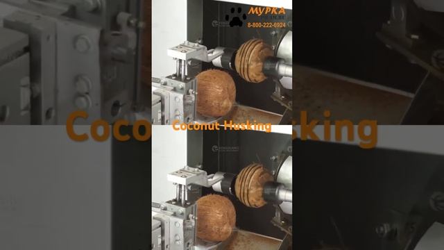 Мурка Станок для очистки кожуры кокоса FX купить на pilam.ru