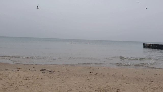 🤩ВПЕРВЫЕ ЗА ДОЛГОЕ ВРЕМЯ, ШТИЛЬ🥰 МОРЕ ЗАВОРАЖИВАЕТ, УМИРОТВОРЯЕТ, УСПОКАИВАЕТ 🌊