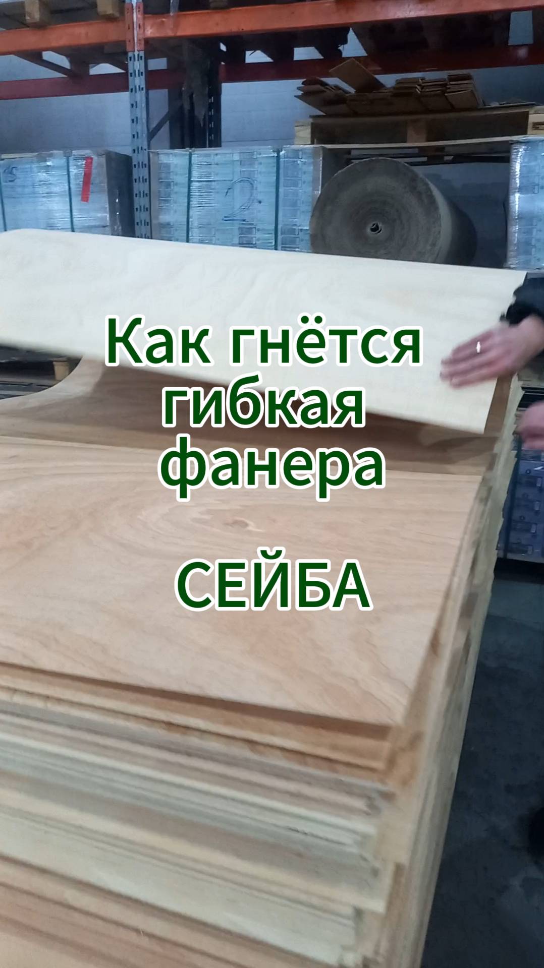 Как гнётся Сейба - гибкая фанера #wood #DIY