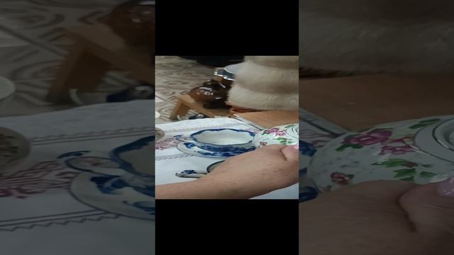 1000082546.mp4