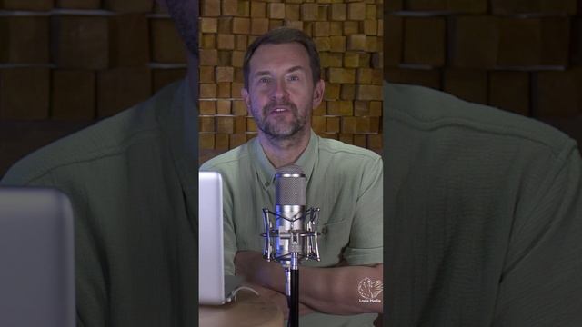 Популярными людей делают другие люди