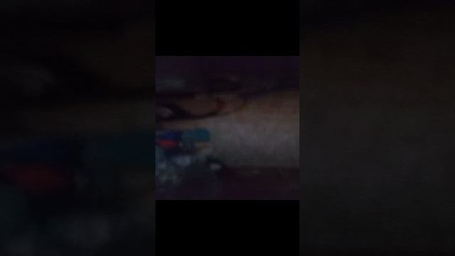 обзор на новый дом
