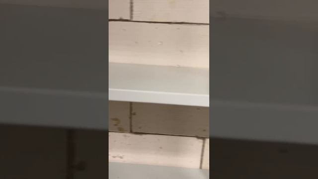 1000188305.mp4