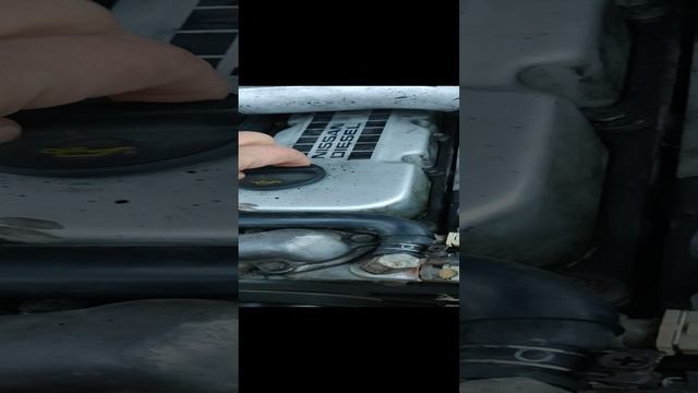 1000121551.mp4