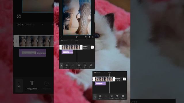 Тутор на раздвоение в кап Кут :) (◍•ᴗ•◍)