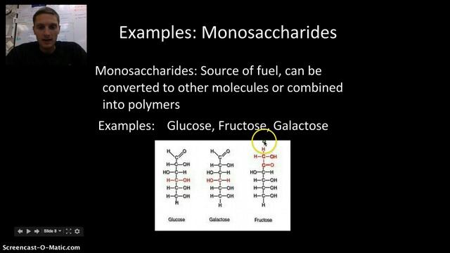 IB Carbohydrates, Lipids & Proteins Part 1