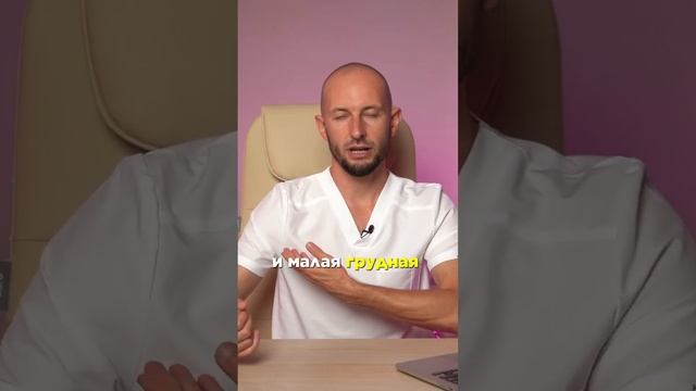 Ромбовидные мышцы Здоровая осанка #врач #медицина #кинезиолог #жизнь #диагностика #состояние