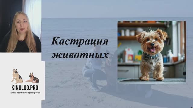 Лекция 3. Кастрация животных. Влияние на поведение и здоровье.