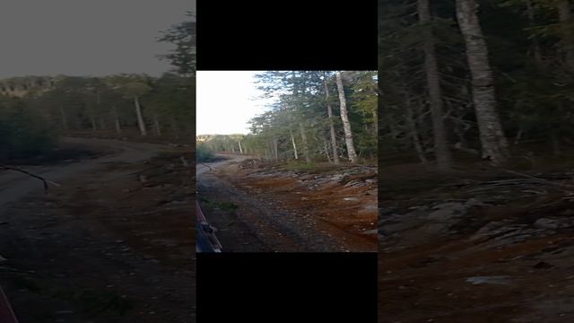 Работа в СЕГЕЖА ГРУПП