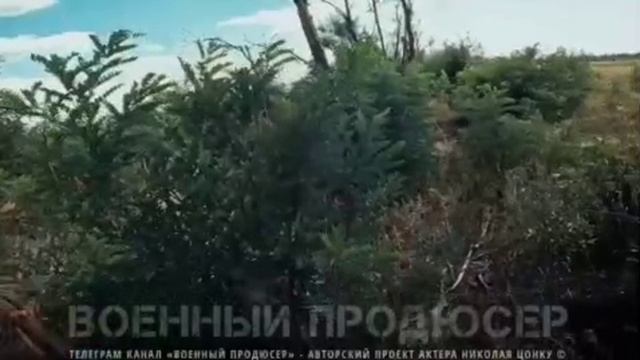 12.11.2024г Запорожский фронт. Работино. 71 Гвардейский полк. Документальный фильм СВО