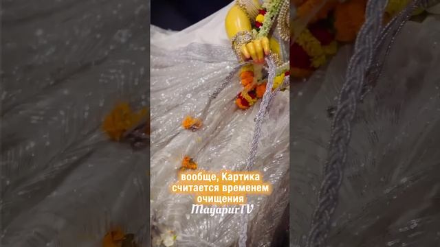 ПОДНОШЕНИЯ ДЛЯ БОЖЕСТВ В МАЯПУРЕ 🔥🪔