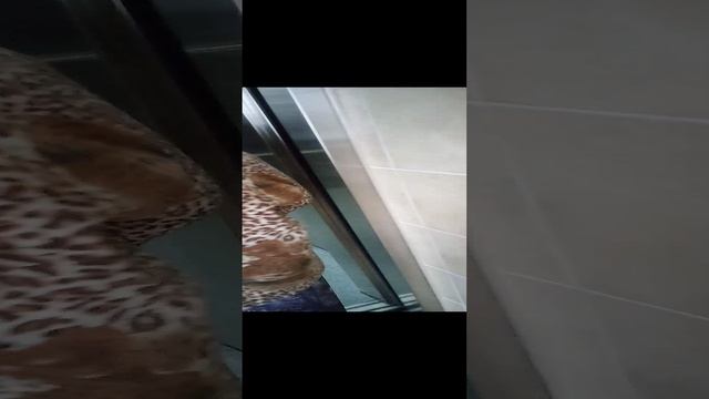 Переход из старого здания больницы в новое.