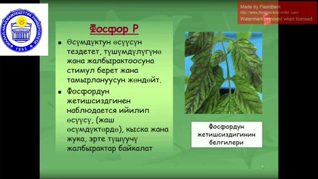 Минералдык жер семирткичтер