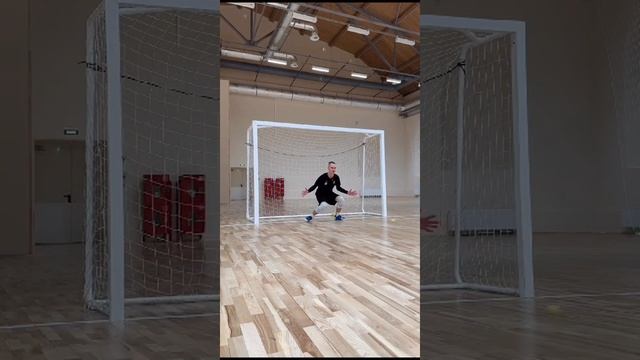 VID-20241112-WA0003.mp4