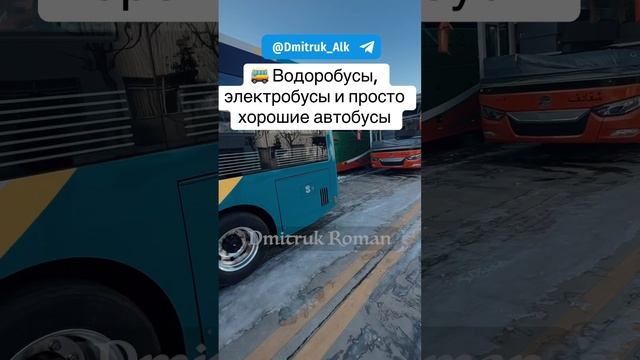 🚌 Водоробусы, электробусы и просто хорошие автобусы