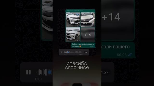 Привезти санкционный автомобиль из Японии? С нашей компанией это не проблема! #автоподзака #япония