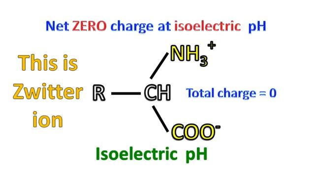 Properties of amino acids