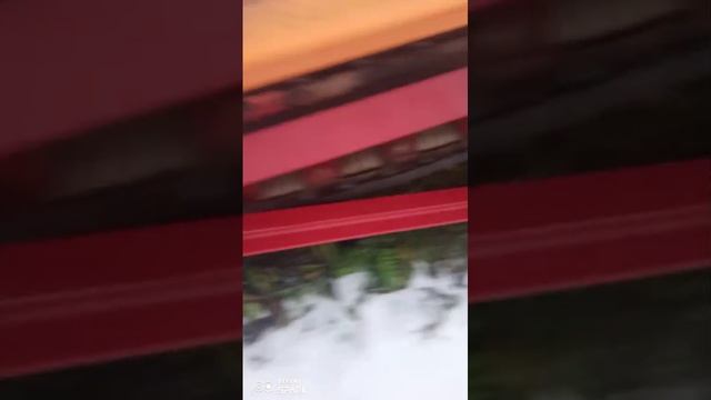 Бункер овощной приёмно-сортировочный