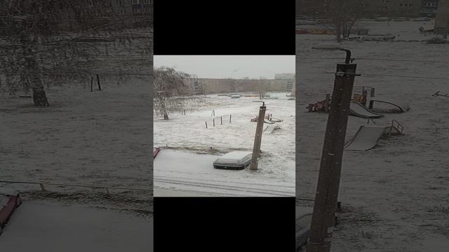 Первый снег лёг. Архив.