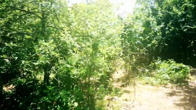 Наслаждаемся природой new#2