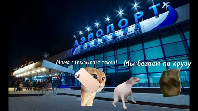 Кошачья жизнь 6 серия