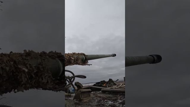 врезали из сау гиацинт