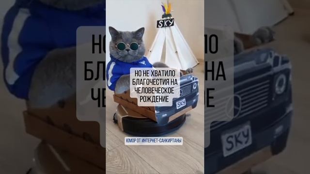 КАРМА ☺🙏🏻 БДИТ