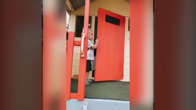 Будущий помощник растет