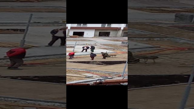 таптуны