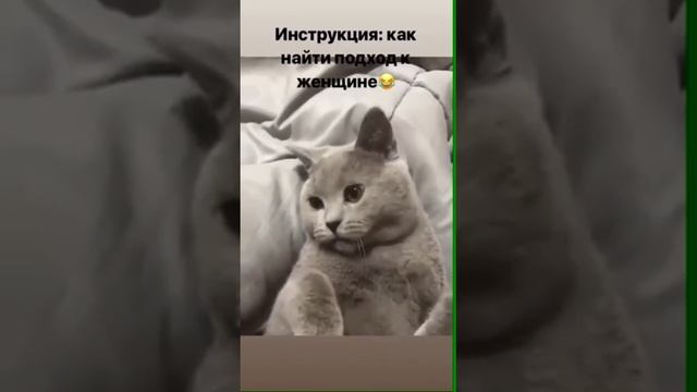 Как найти подход к женщине