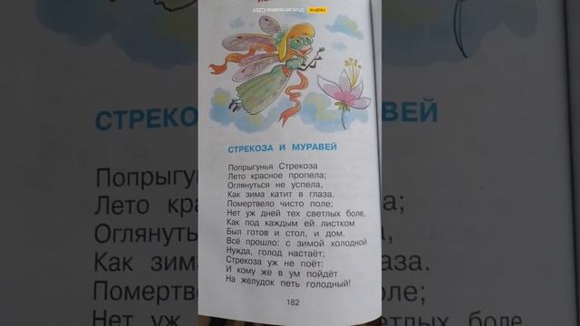 scene_output.mp4